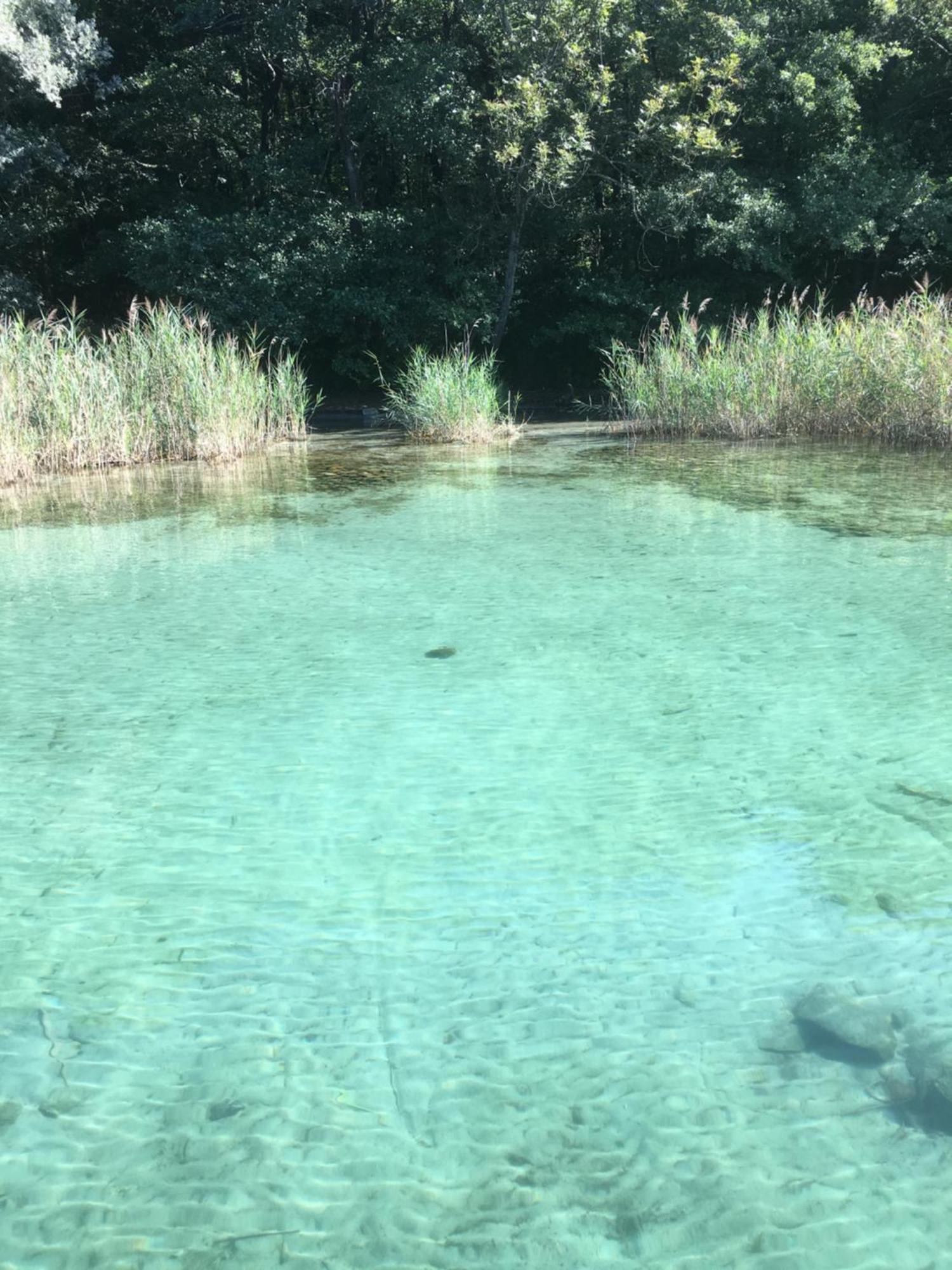 -Ortaflats- Appartamenti Imbarcadero & Palazzotto Orta San Giulio Εξωτερικό φωτογραφία